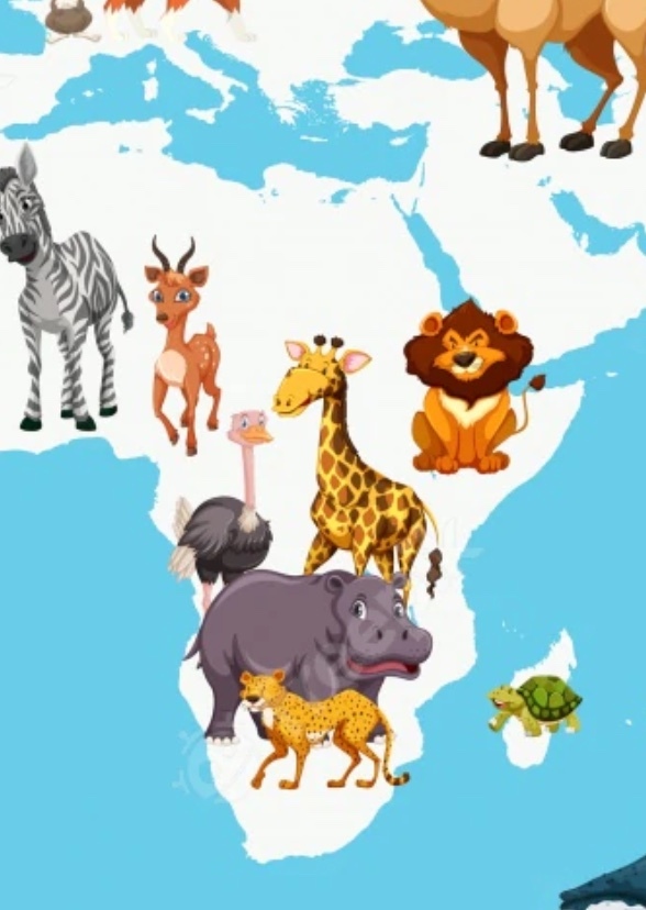 Animals around the world