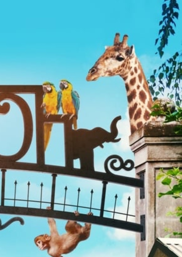 Animals around the world 