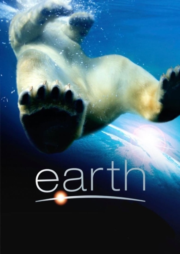Animals around the world