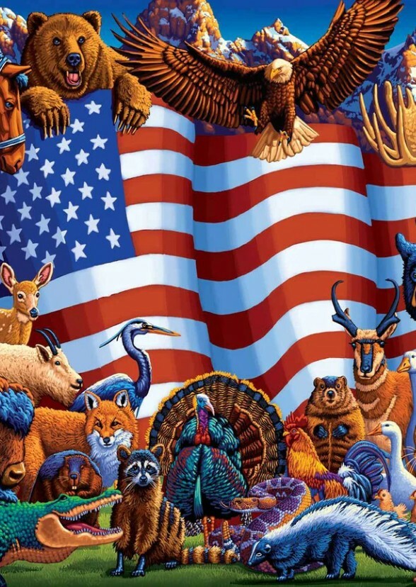Animals Around The World  Tv Series 2024