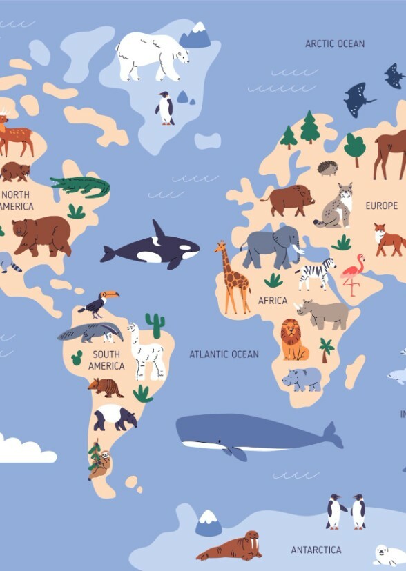 Animals around the world (tv series)