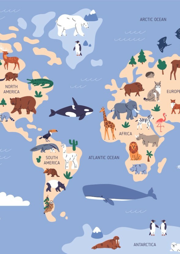 Animals around the world (tv series)