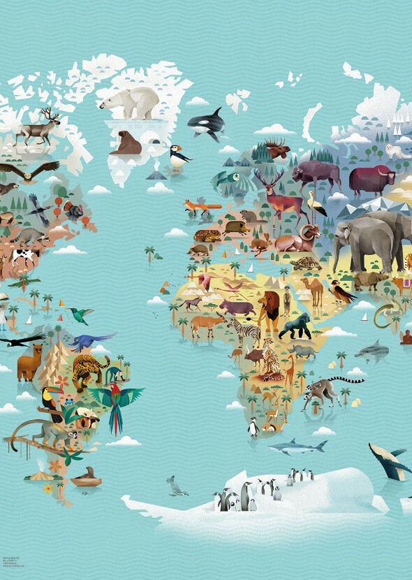 Animals around the world. (TV Series)