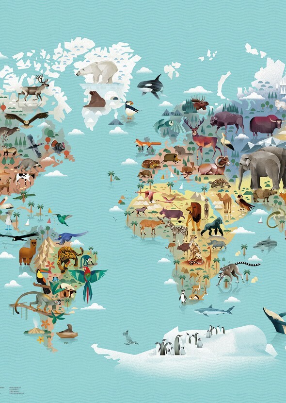 Animals around the world. (TV Series)