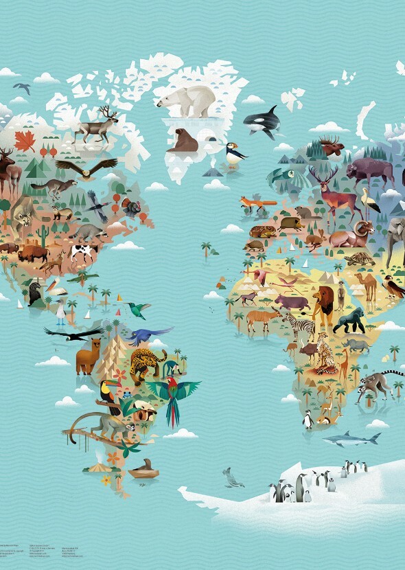 Animals around the world. (TV Series)