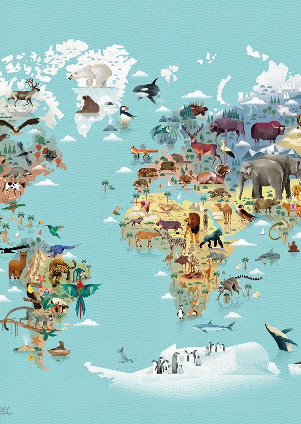 Animals around the world. (TV Series)
