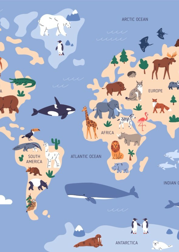 Animals from Around the Globe. (TV Series)