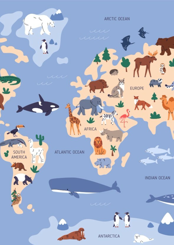 Animals from Around the World (Television Series)