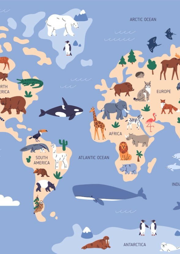 Animals from Around the World. (TV Series)