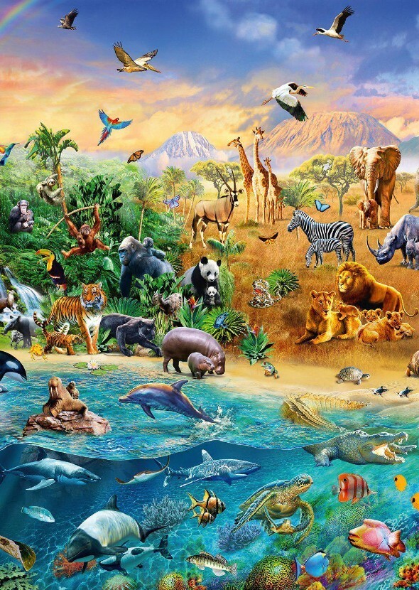 Animals from Around the World (TV Series)