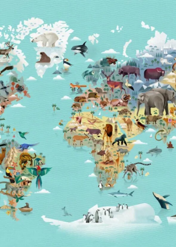 Animals from Around the World (Documentary Series)