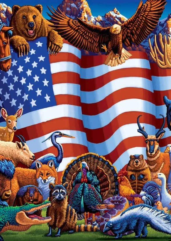 Animals North America