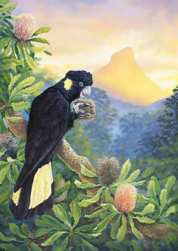 Animals of the World