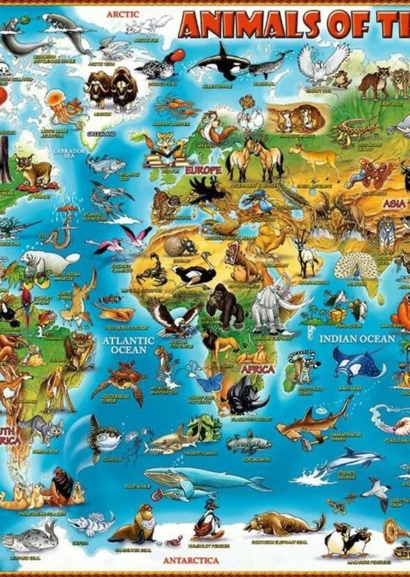 Animals of the World