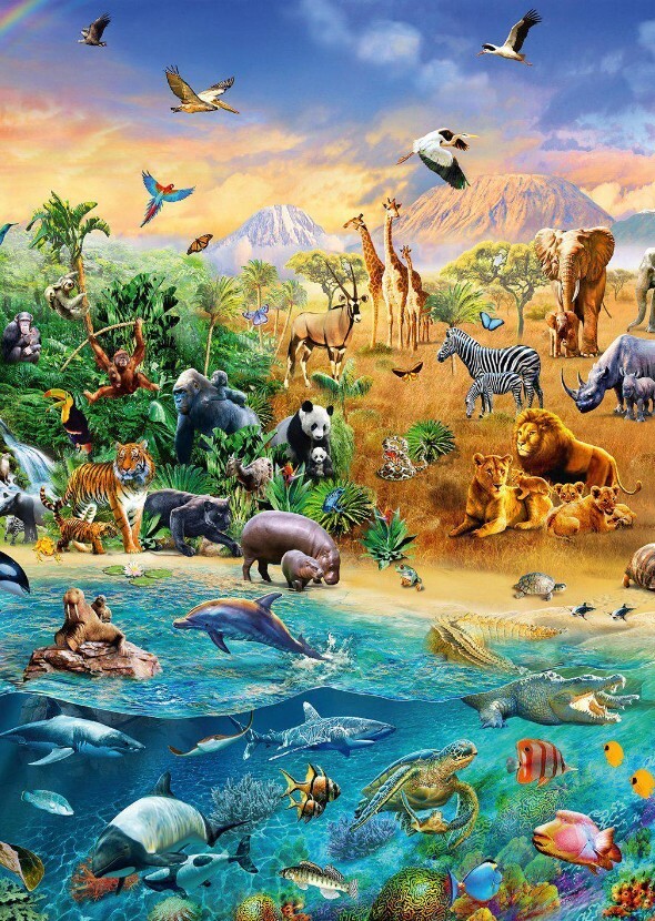 Animals of Wildlife
