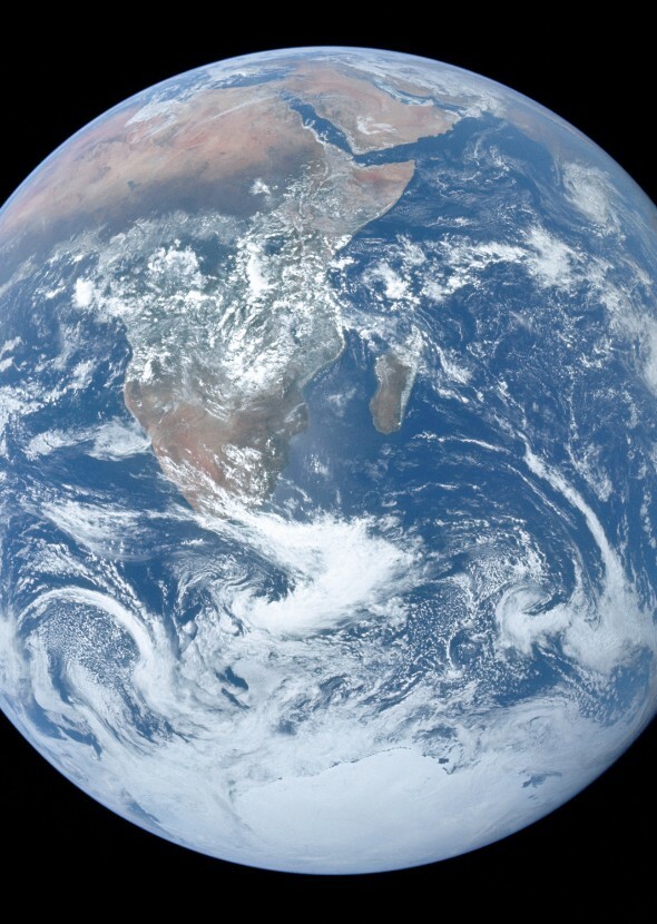 Animals on Earth