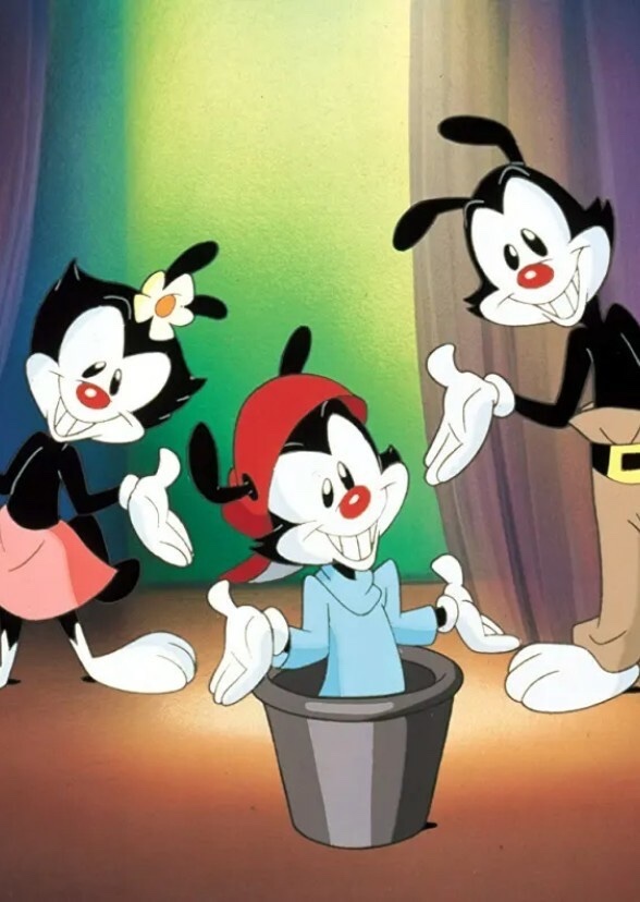 Animaniacs: The Not-So Grand Discovery