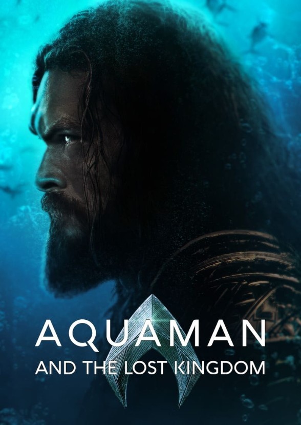 Aquaman 3: Waves of Justice