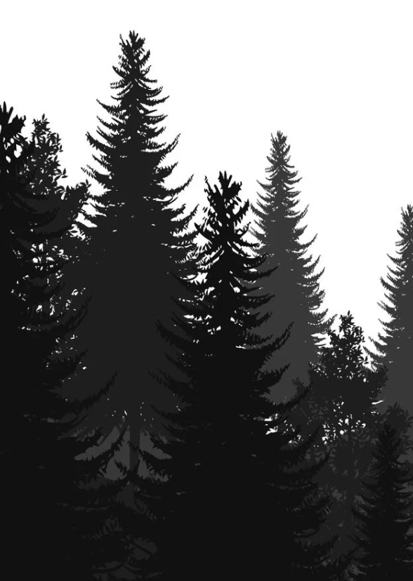 Arbor Day 