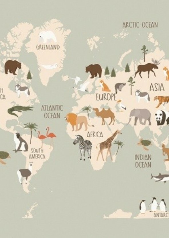 Around the World