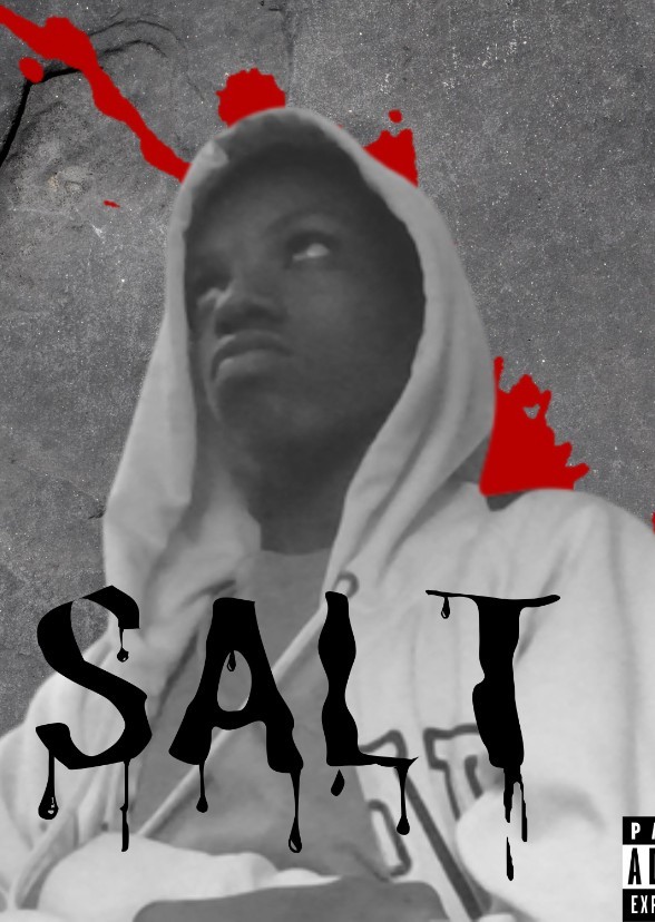 Artists that fit SALT