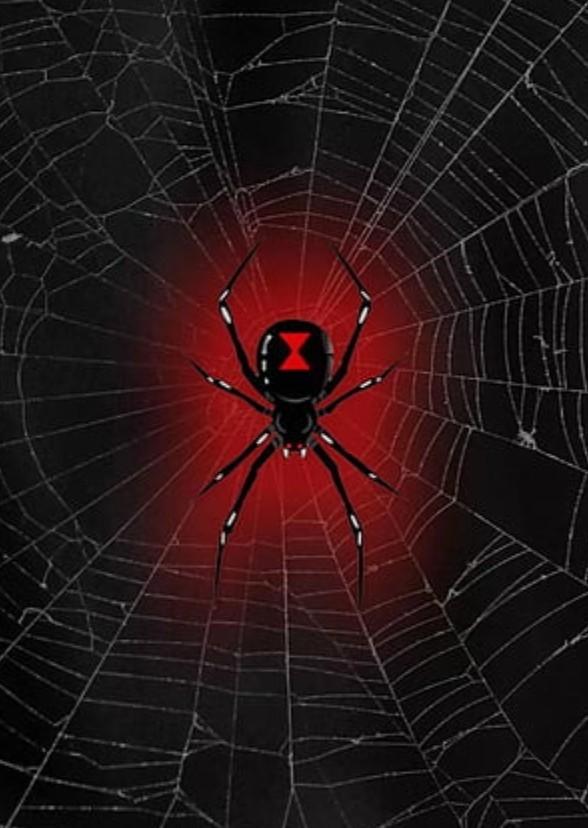 As The Web Is Spun