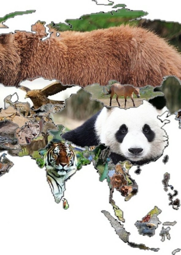 Asia (PBS Nature Series)
