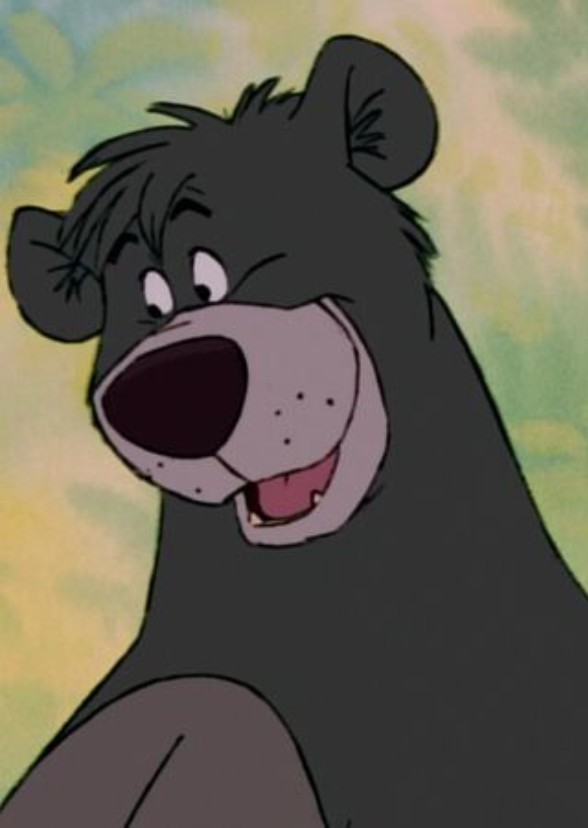 Baloo and the Bare Necessities of Life