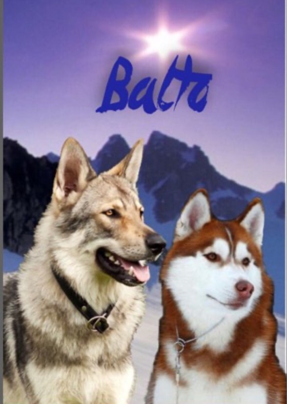 Balto (Live Action Remake)