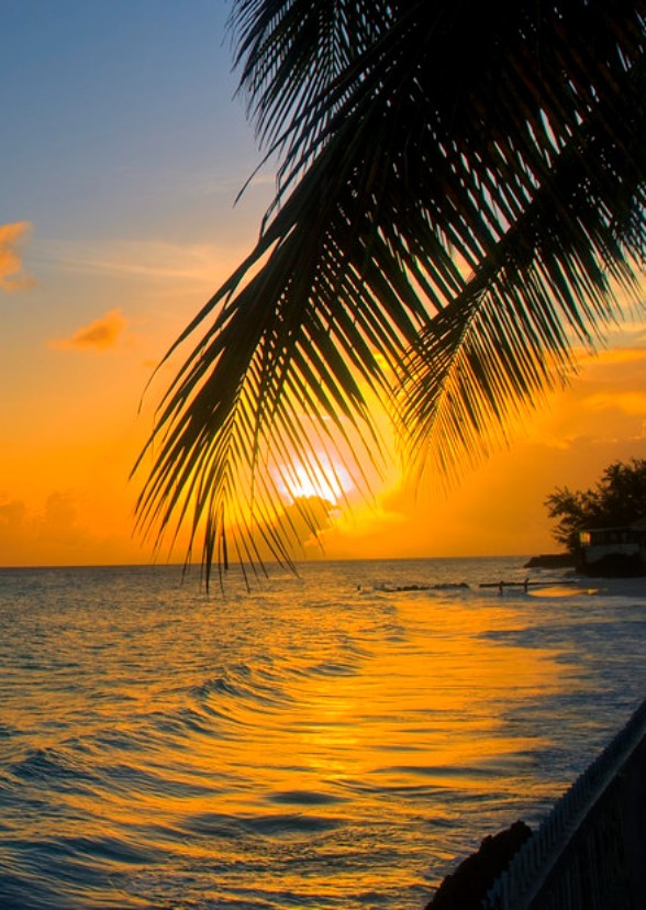 Barbados: An Epic Crossover