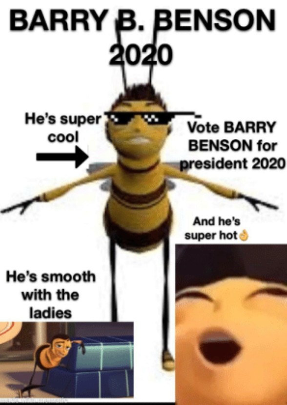 Barry and The Bumblebee