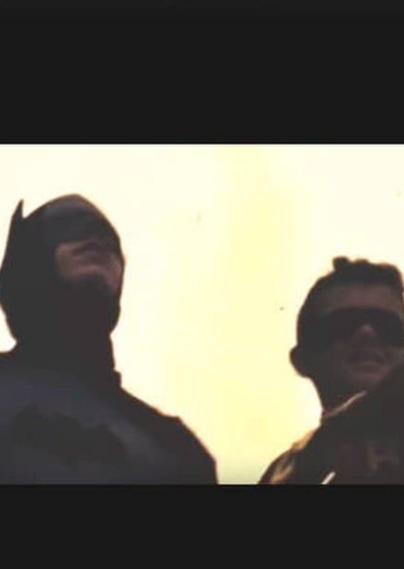 Batman and Robin: The Dynamic Duo 