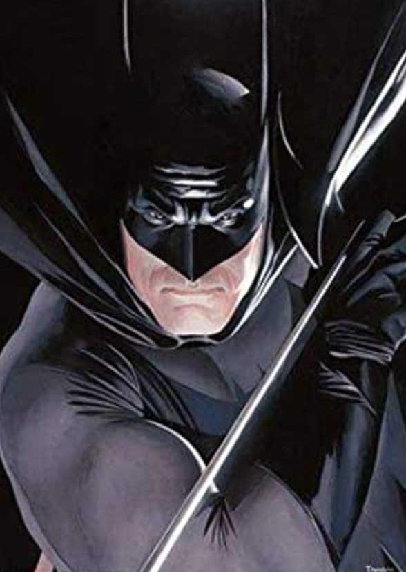 Batman Gotham Chaos Rise (2003)