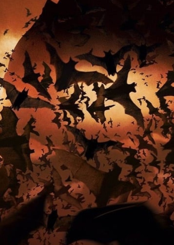 Batman: Darkest Night