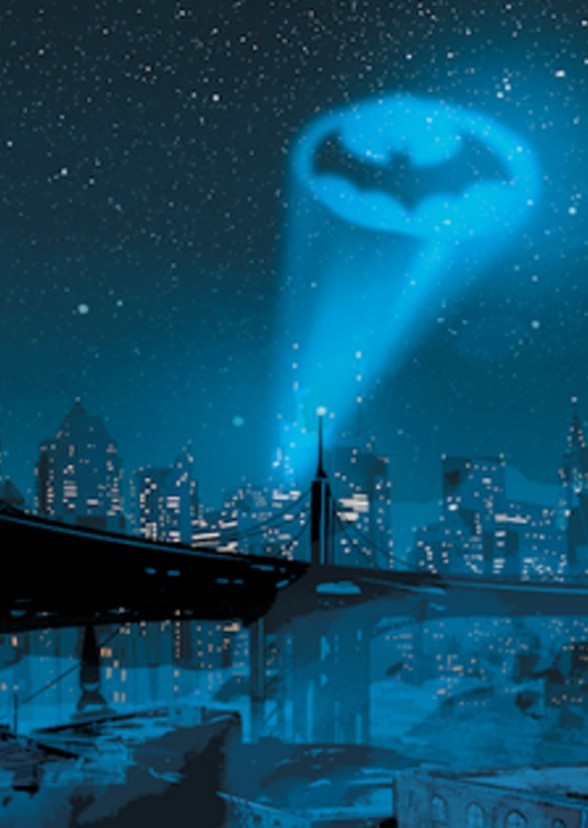 Batman DC Movie Universe