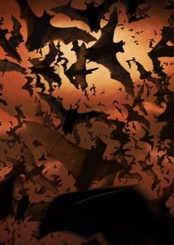 Batman: year zero