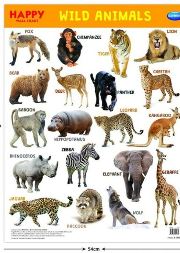 BBC Earth: Song of the Animals