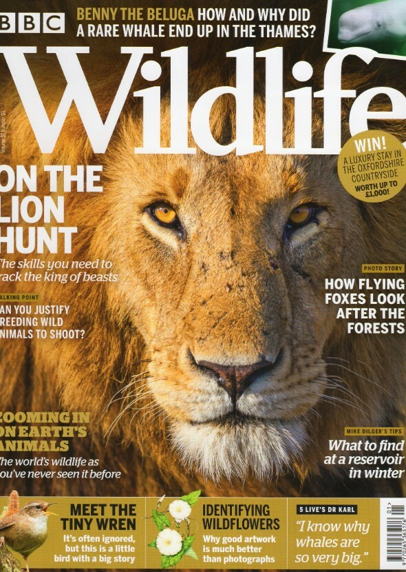 BBC Wildlife Magazine 