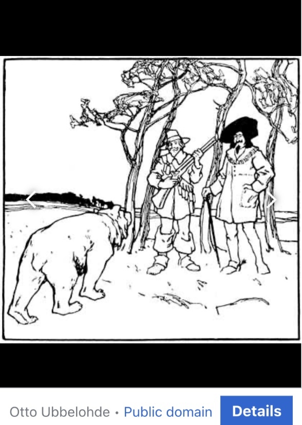 Bearskin 