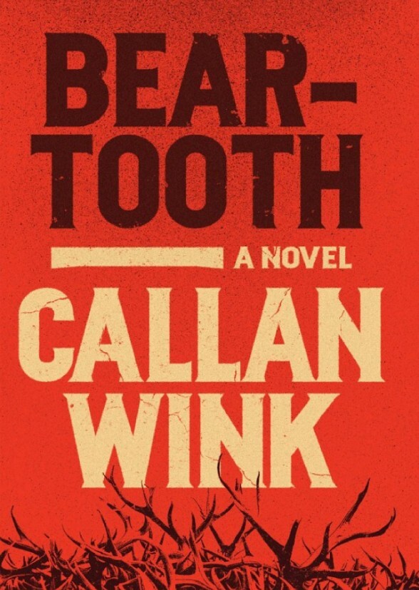 Beartooth: A Novel