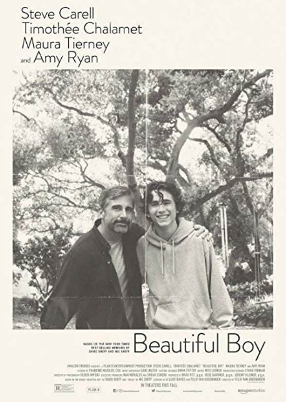 Beautiful Boy (2008)