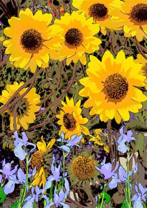 Beneath The Sunflower Sky