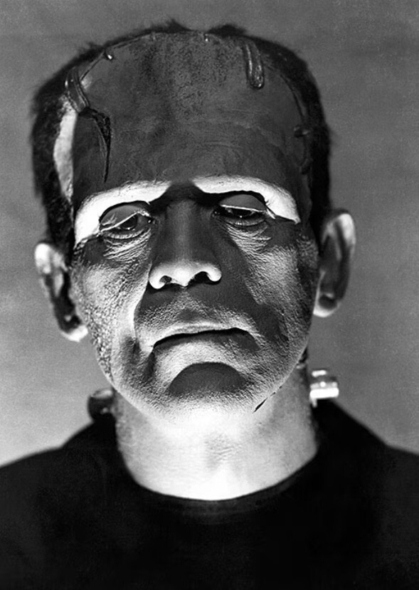 Best FRANKENSTEIN Actors
