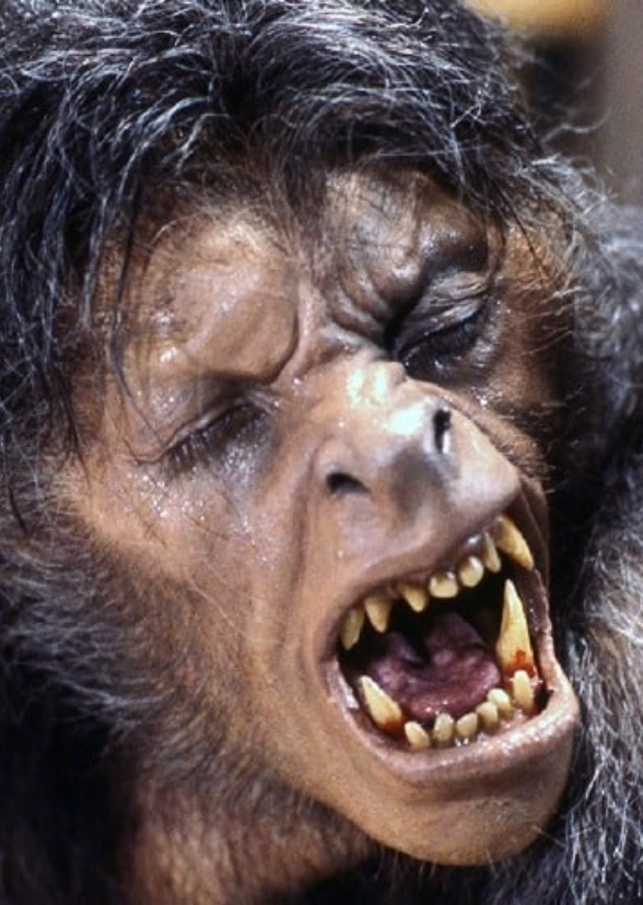 Bite of The Wolfman