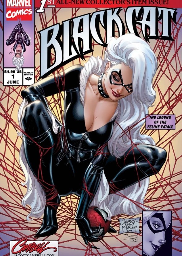 Black Cat  And Sliver Sable