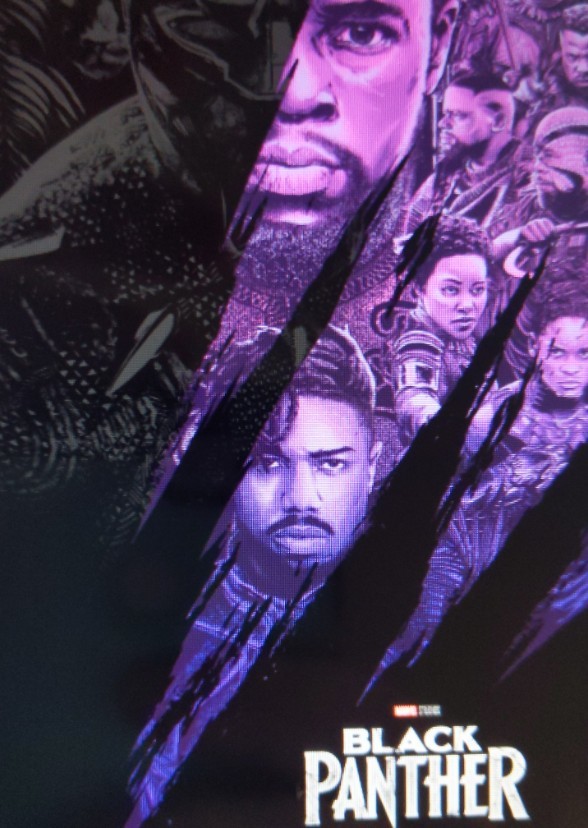 Black Panther (2008)