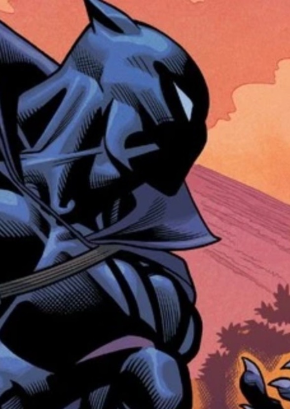 Black Panther: The King Of Wakanda