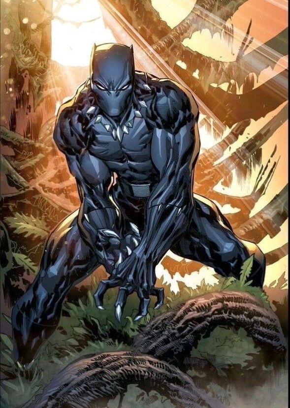 Black Panther: The King Of Wakanda