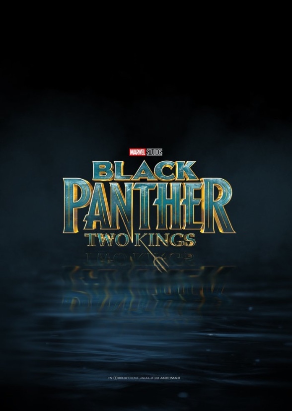 Black Panther Two Kings (2022)