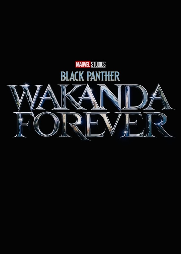 Black Panther Wakanda Forever 